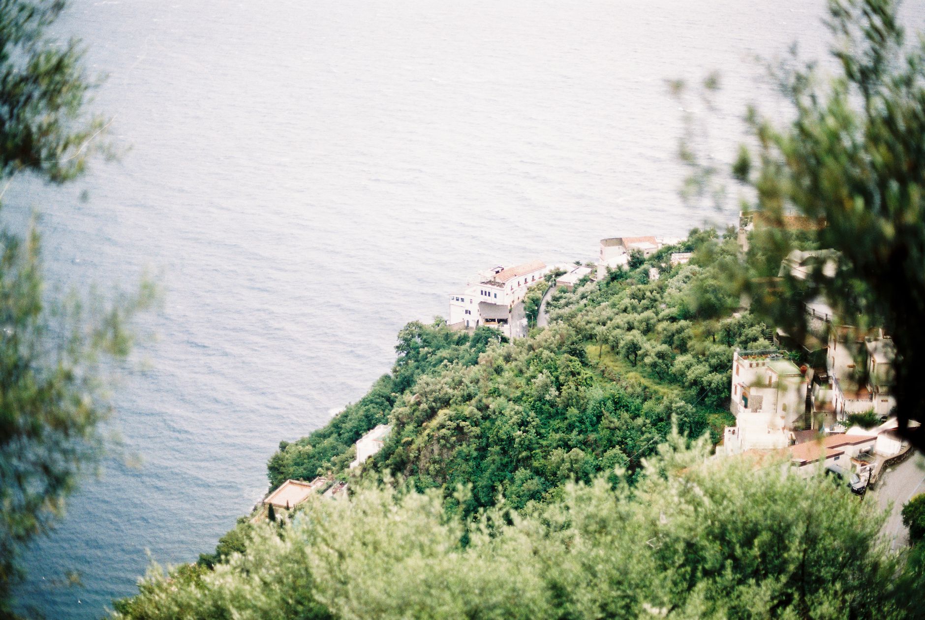 Terraced lemon trees on Amalfi hillside overlooking the Tyrrhenian Sea